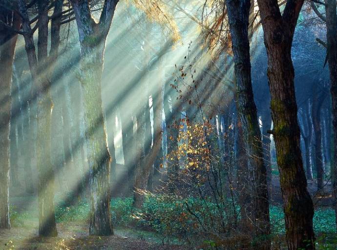 Labirinti di foglie oscure. Quel filo di luce attraverso le tenebre per ritrovare speranza nella tempesta della vita